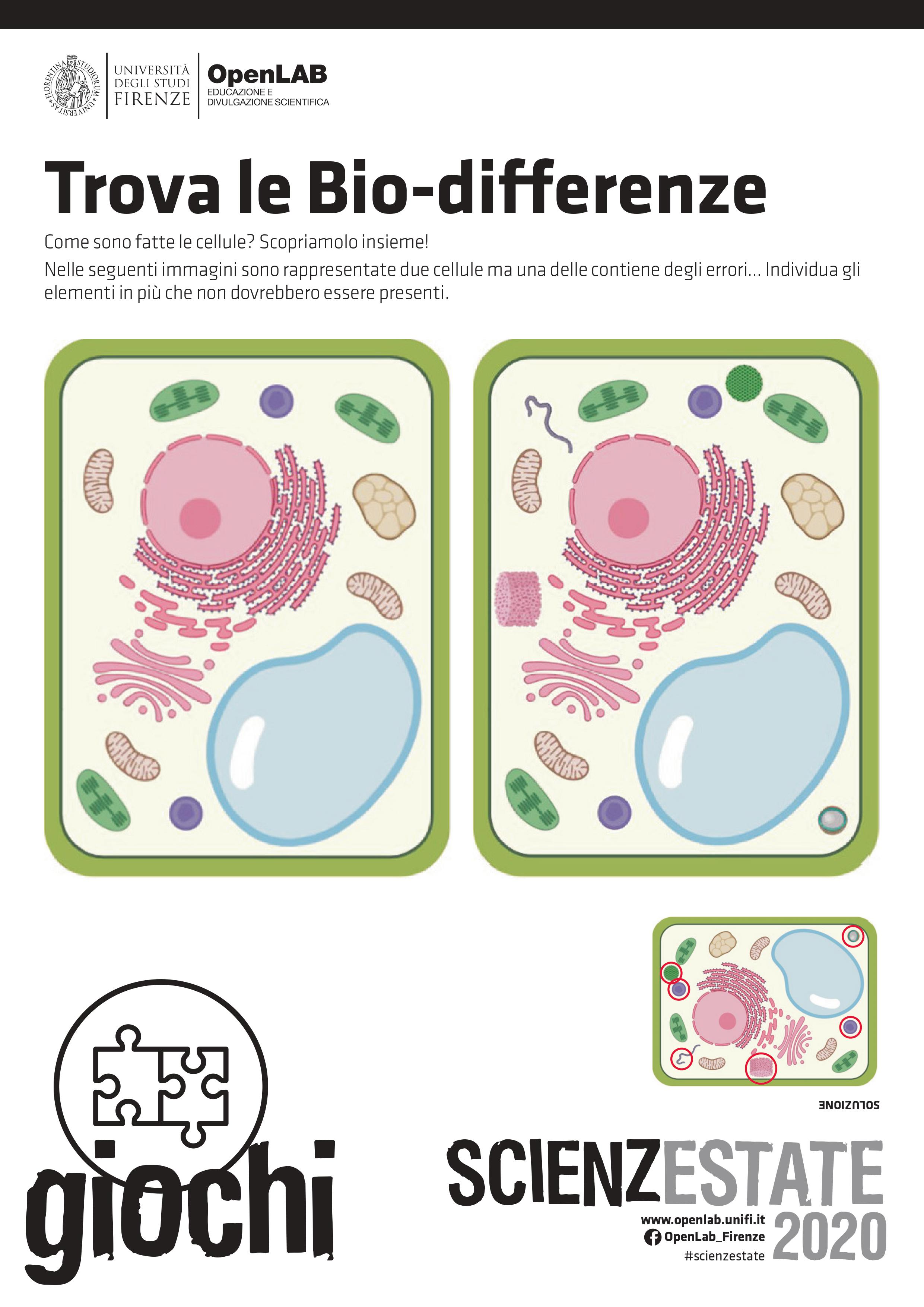 Trova le biodifferenze