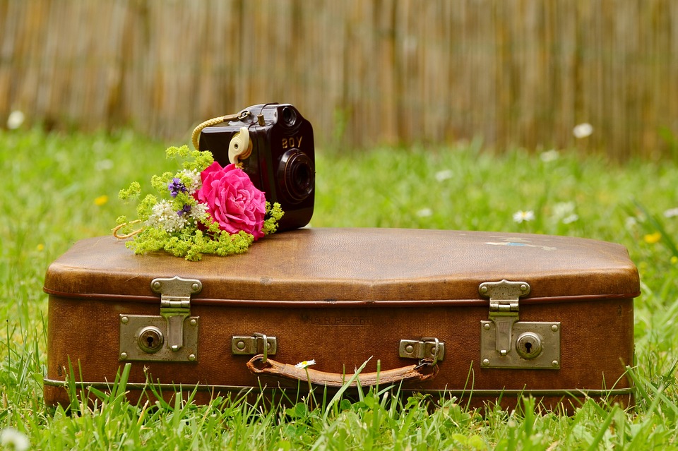 valigia con fiore e macchina fotografica