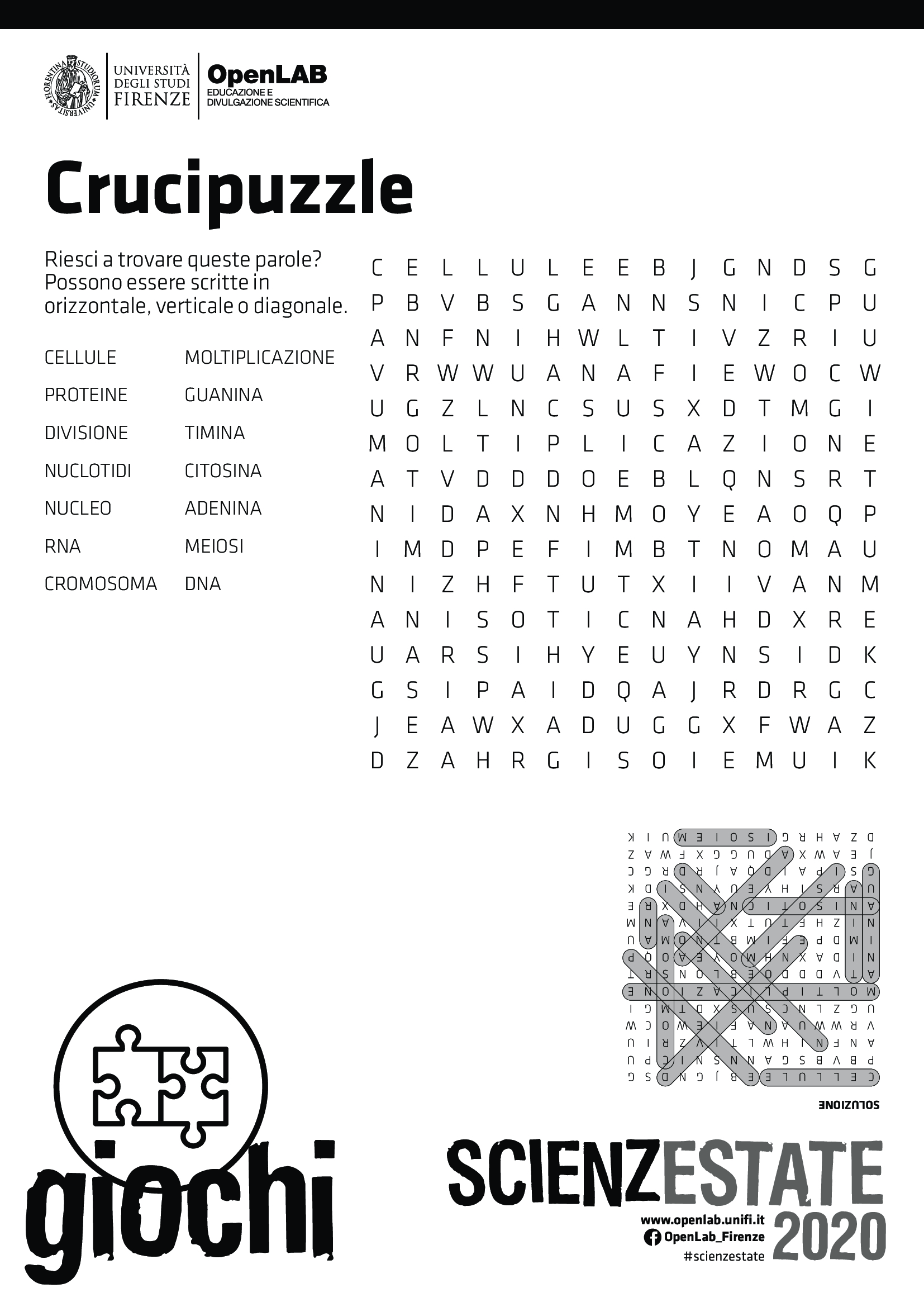 crucipuzzle