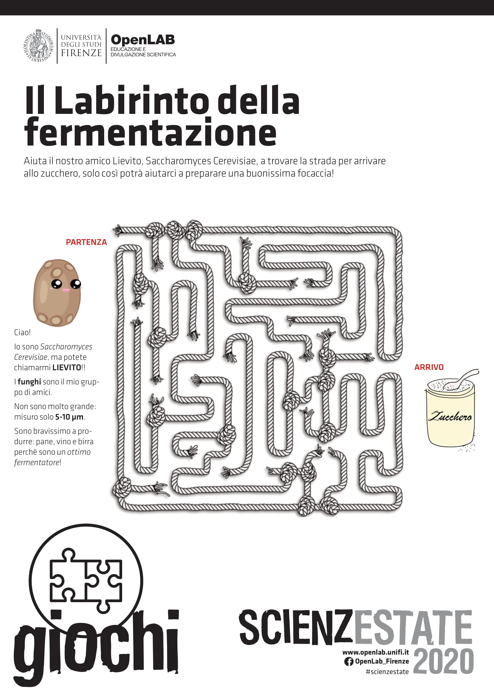 il labirinto della fermentazione