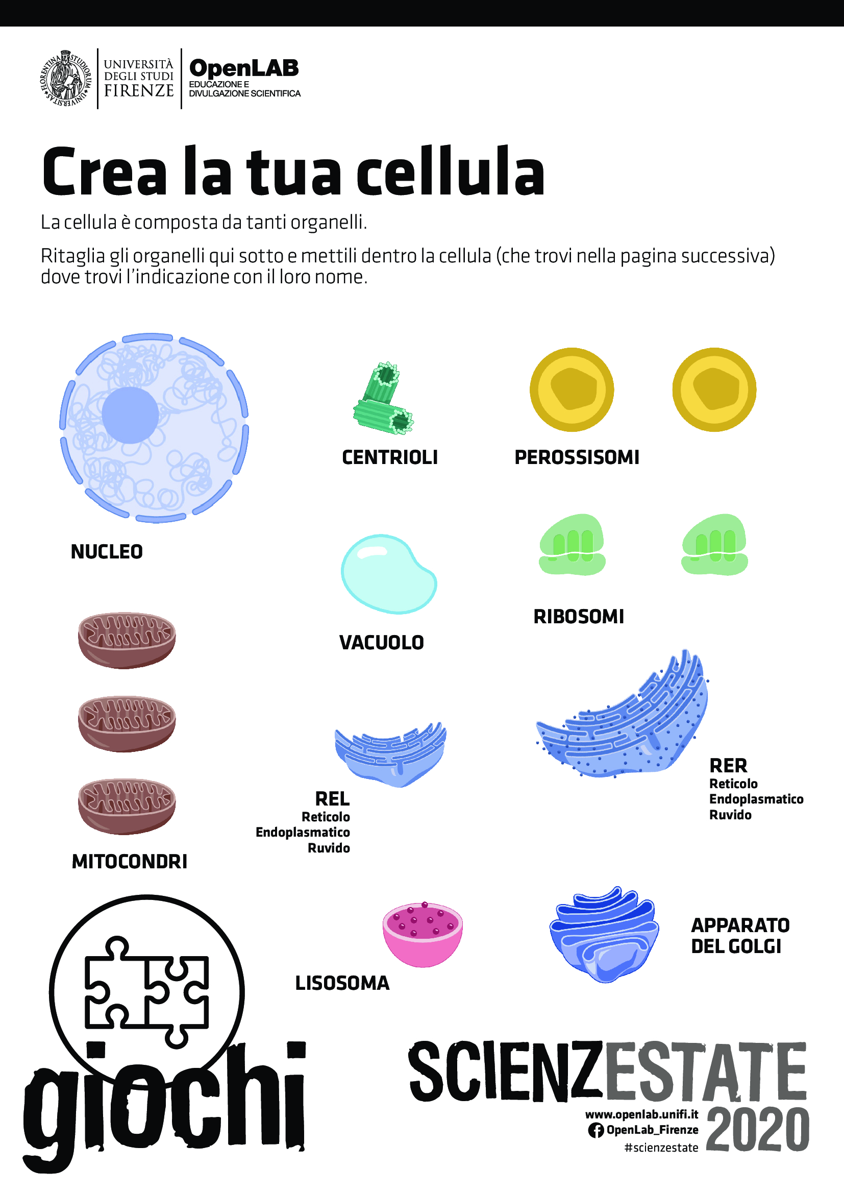 Gioco Biologia crea cellula