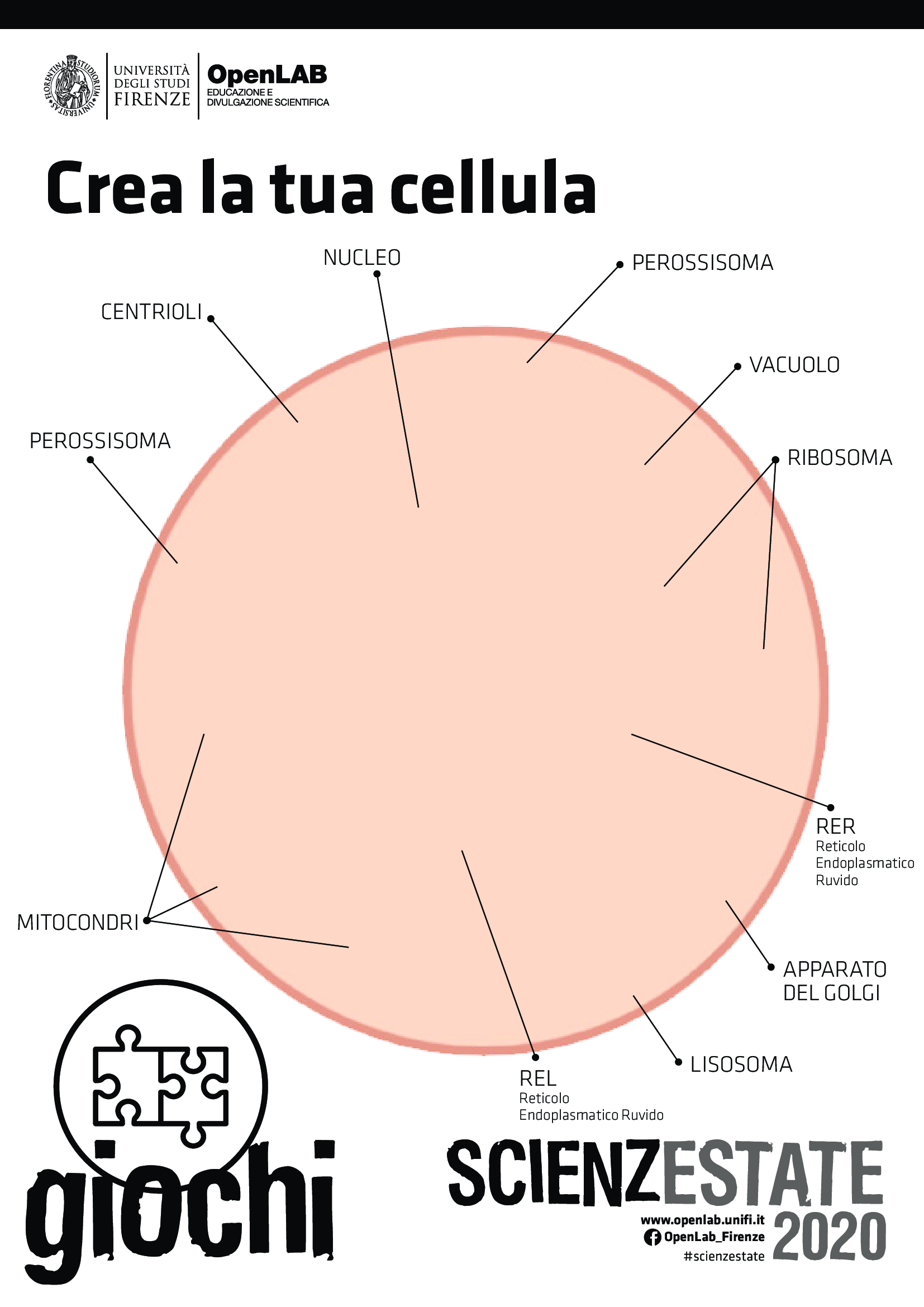 Gioco Biologia crea cellula pag 2